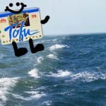 Tofu: Is there anything it CAN'T do?