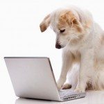 dog_thumb