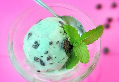 mint chocolate chip ice cream vita mix