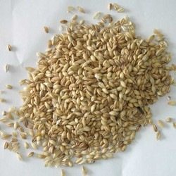 hulled barley