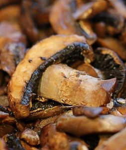 magic mushrooms recipe