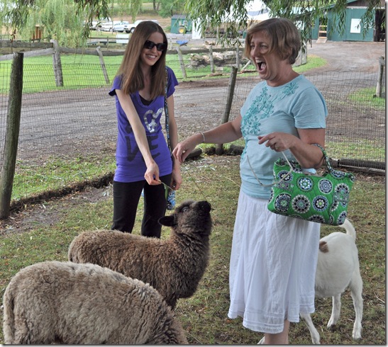 catskilllambs