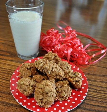 oatmeal crinkle cookies