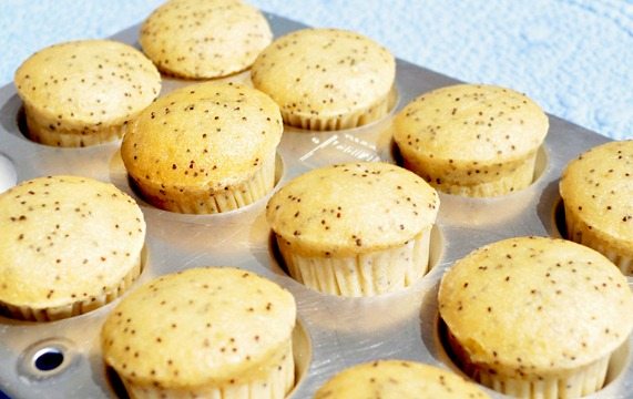 lemon muffins