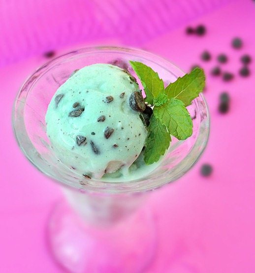 mint chocolate chip ice cream