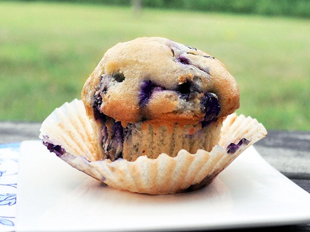 Lemon Cupcakes with Fresh Blueberry Buttercream - Baker by Nature