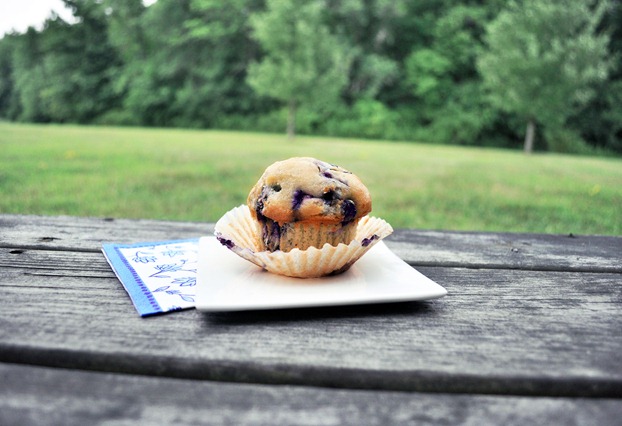 vegan blueberry muffins