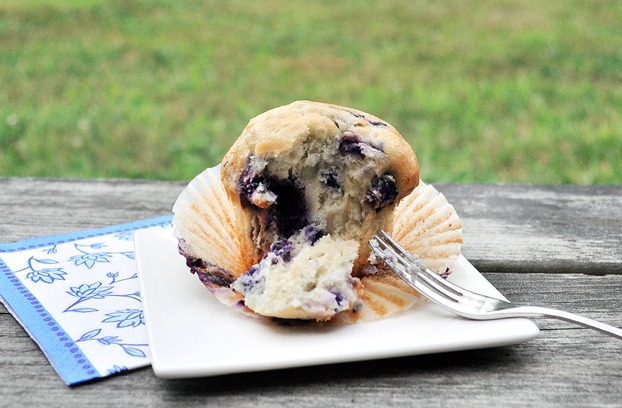 https://chocolatecoveredkatie.com/wp-content/uploads/2011/08/Blueberry-Muffin-for-One_F302/vegan-muffin_thumb.jpg