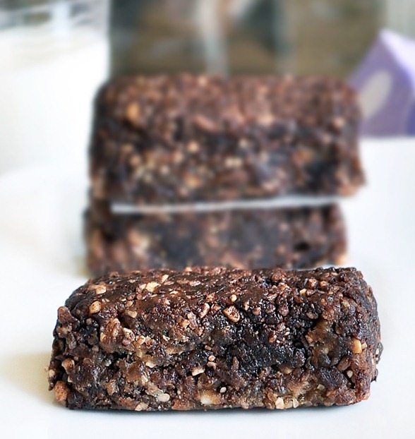 chocolate fudge larabars