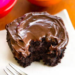 The Best Chocolate Mug Cake Recipe