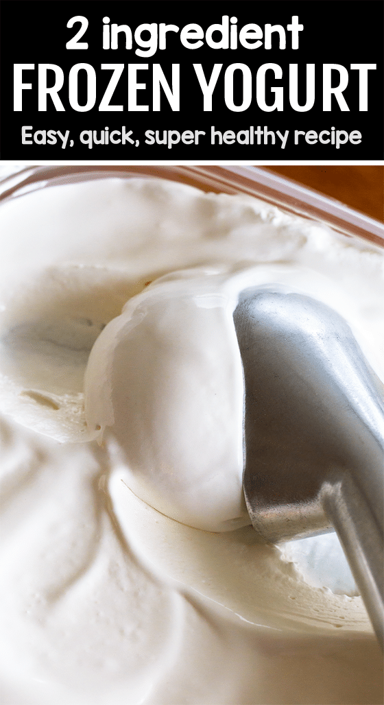 Frozen Greek Yogurt Recipe