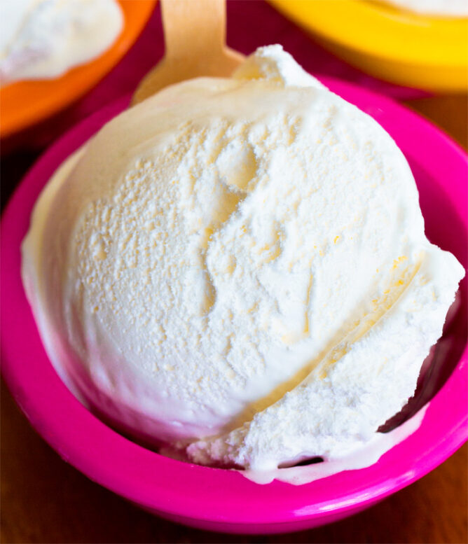 Veganistisch Frozen Yoghurt Recept