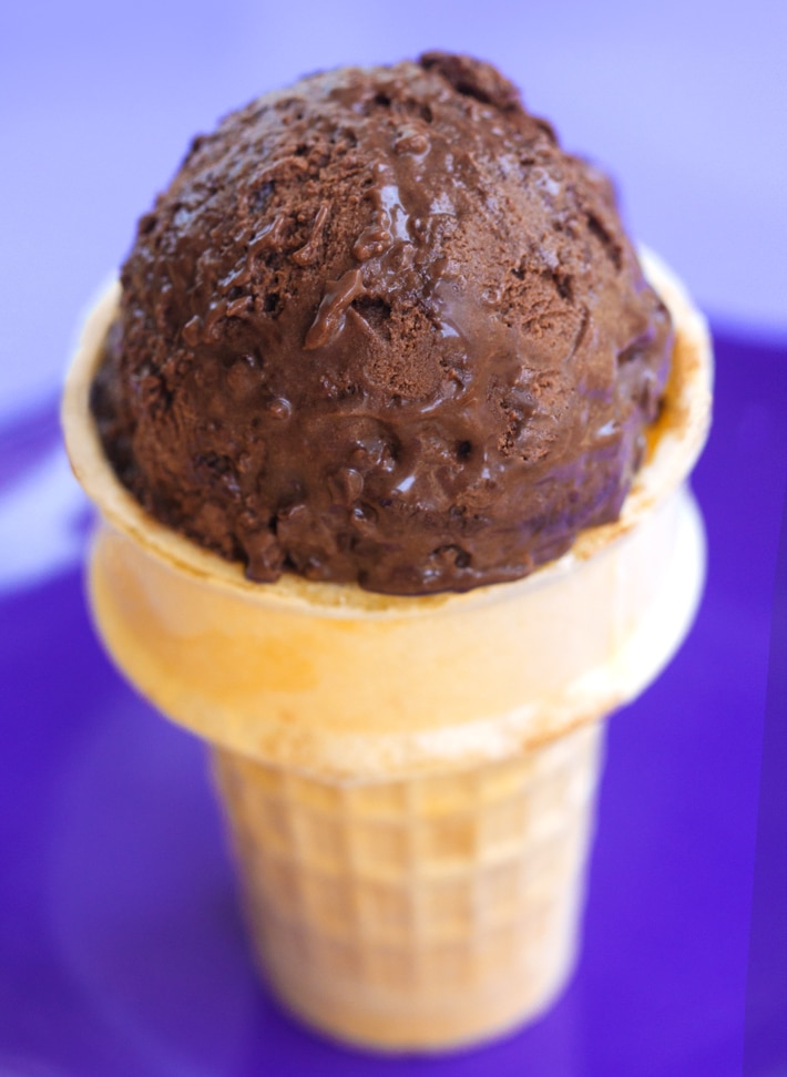 Vegan Chocolate Ice Cream Non Vegan Approved