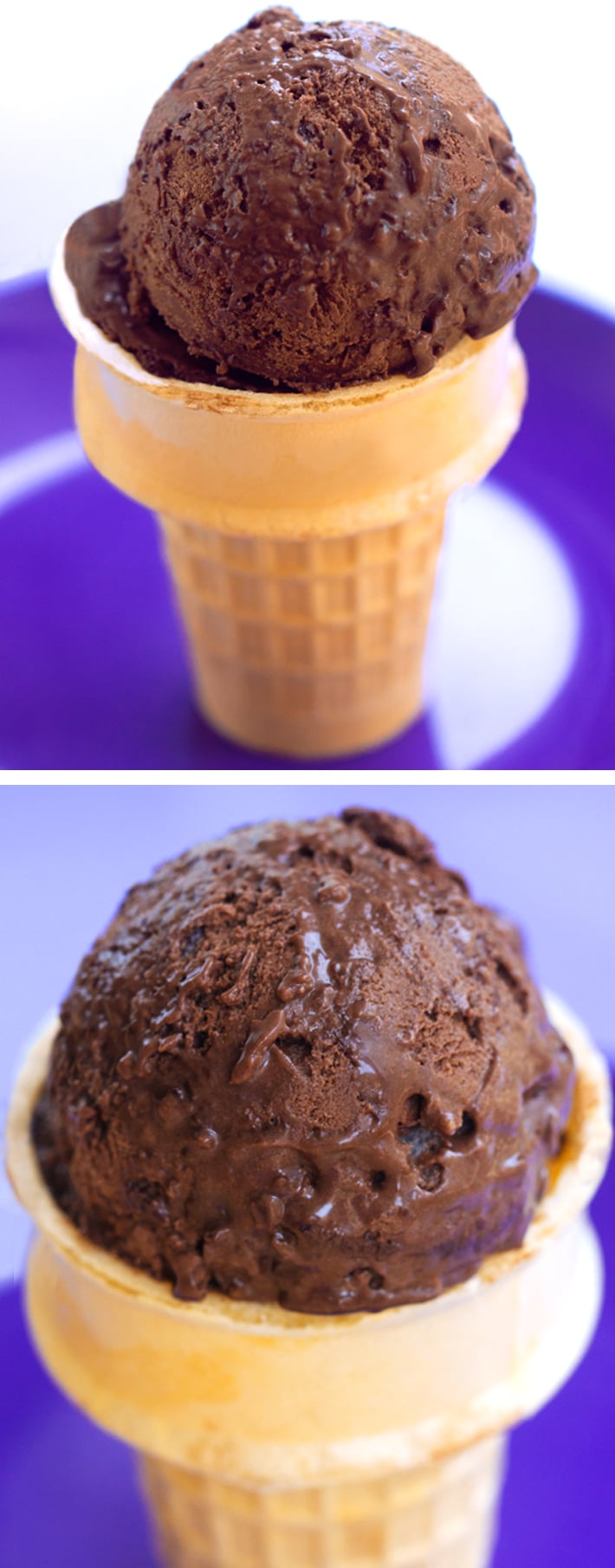 Vegan Chocolate Ice Cream - Non-Vegan Approved!