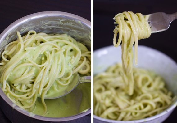 avocado alfredo recipe