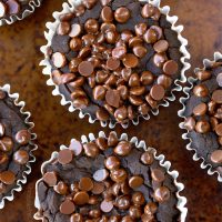 Fudgy Chocolate Blender Muffins