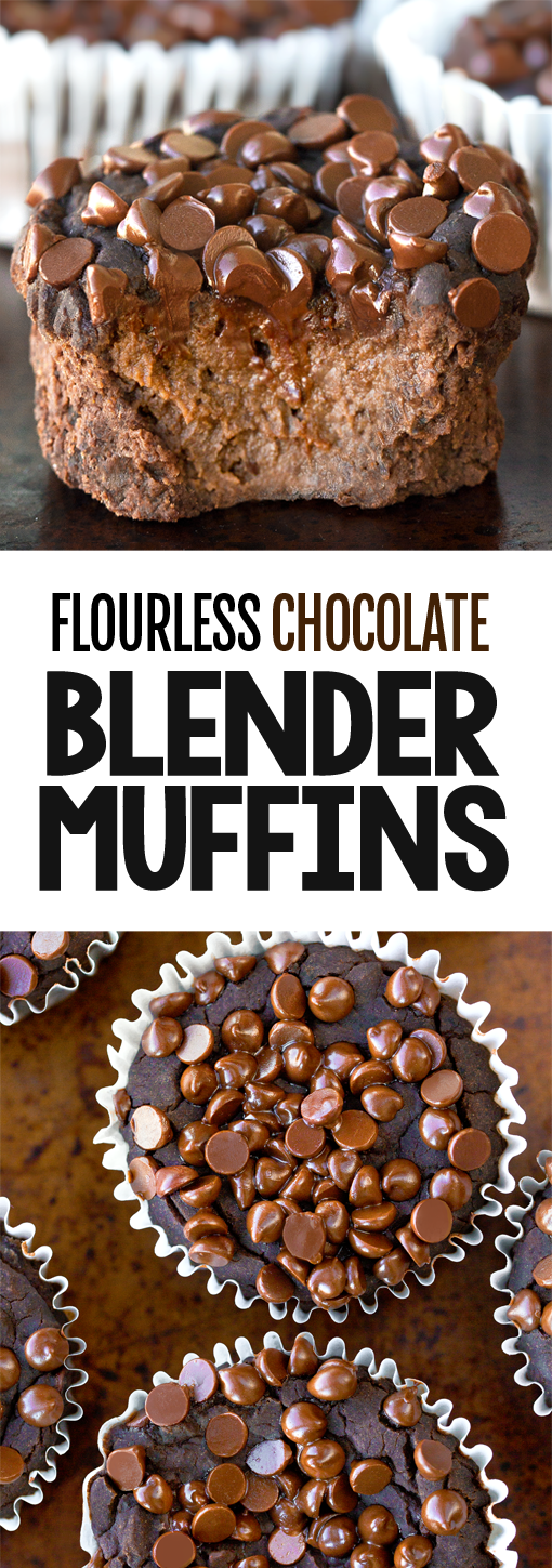 Secretly Healthy Flourless Chocolate Blender Muffins