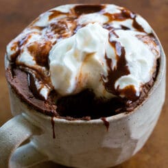 High Protein Chocolate Mug Cake Recipe