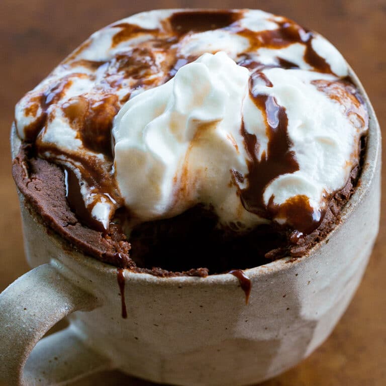 Chocolate Protein Cake in a Mug {Easy 2 Minute Recipe!}