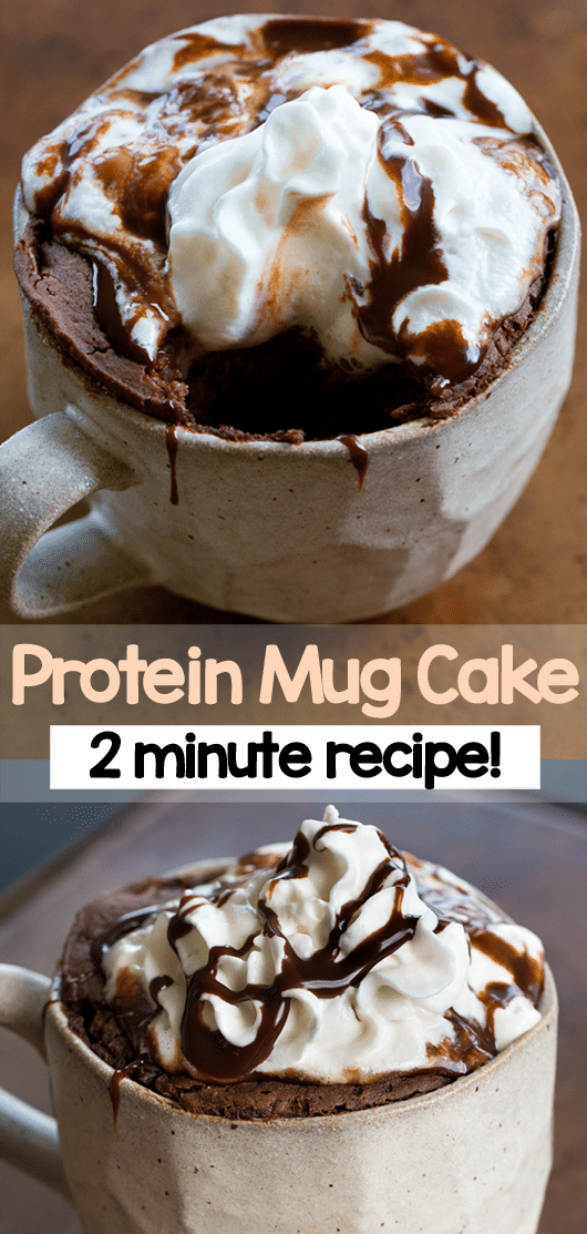 Chocolate Protein Cake in a Mug - {Easy 2 Minute Recipe!}