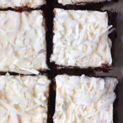 Vegan Chocolate Coconut Brownie Bars