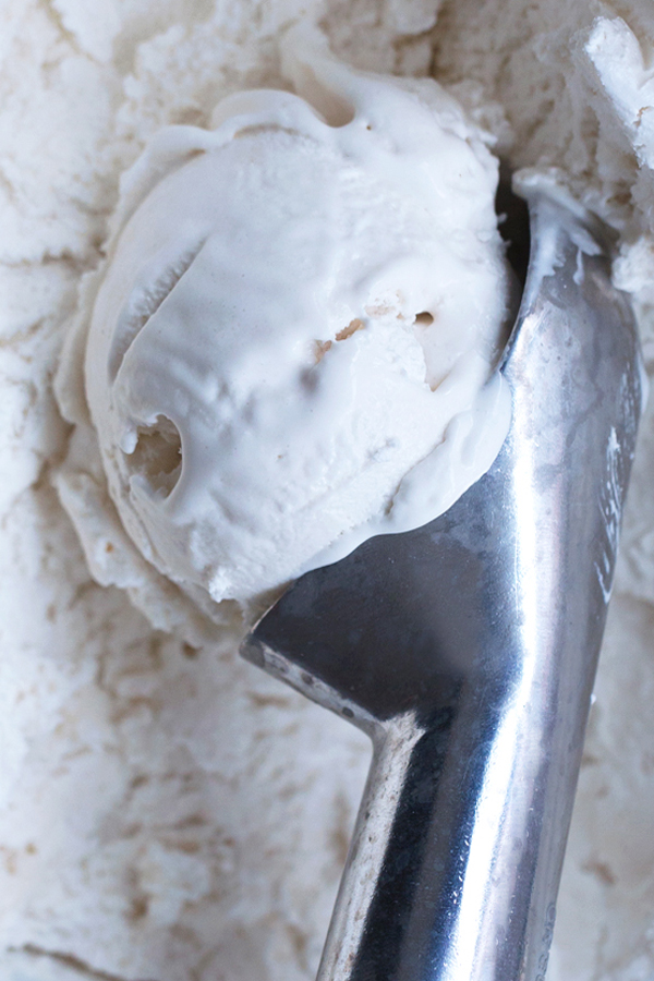 Easy Coconut Ice Cream Recipe (Vegan, Dairy Free, Egg Free)