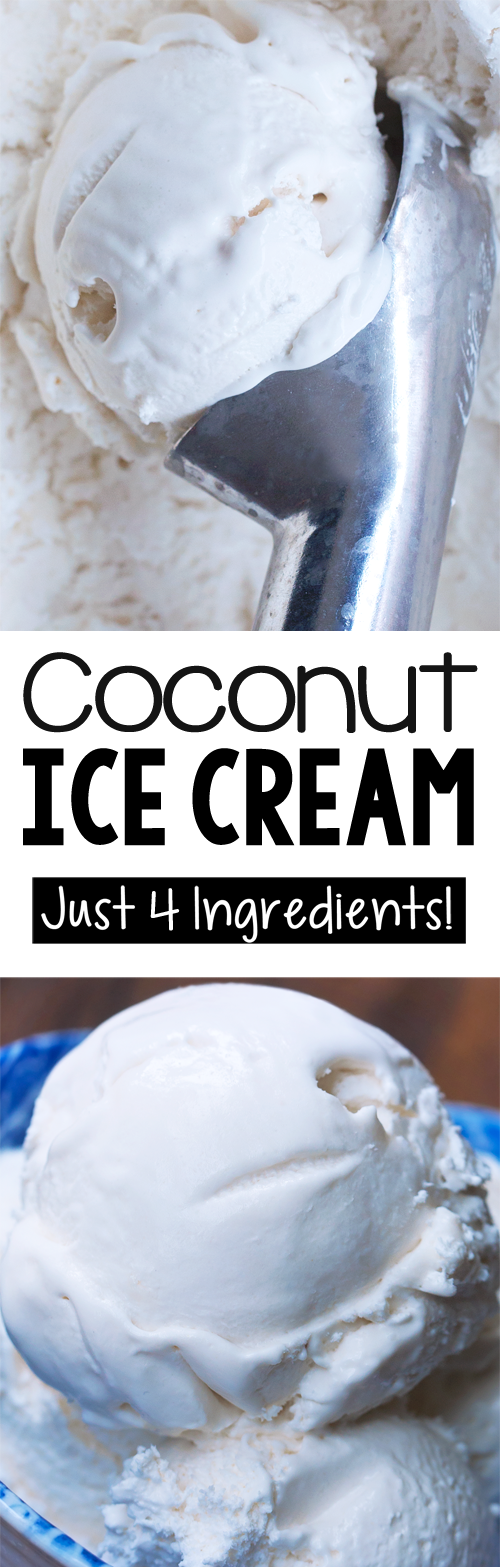 Ice cream with online coconut cream