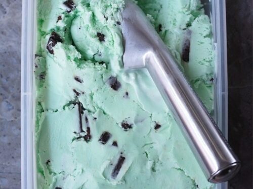 Mint Chip Nice Cream Made Easy • Tasty Thrifty Timely