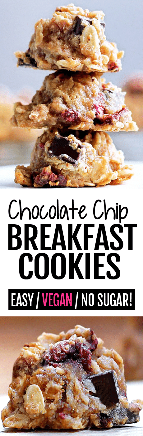 Secretly Healthy Chocolate Chip Oatmeal Breakfast Cookies (Vegan, No Sugar)