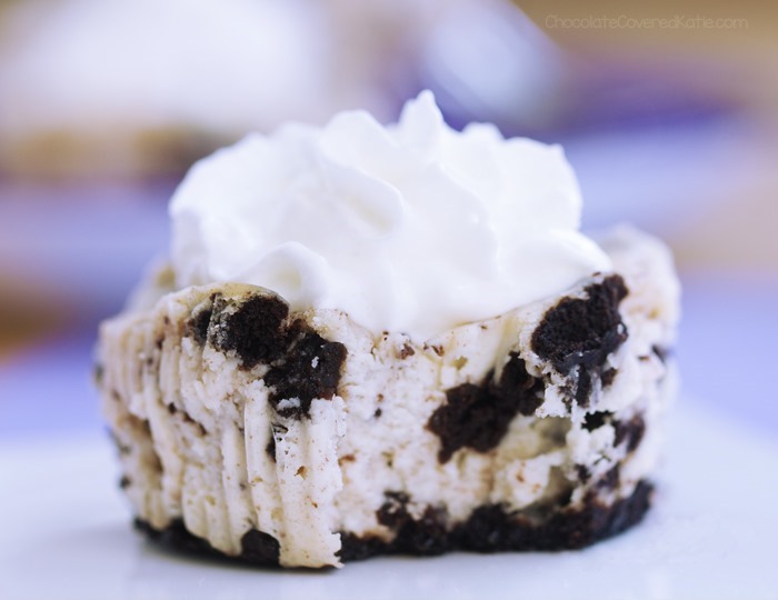 mini oreo cheesecakes