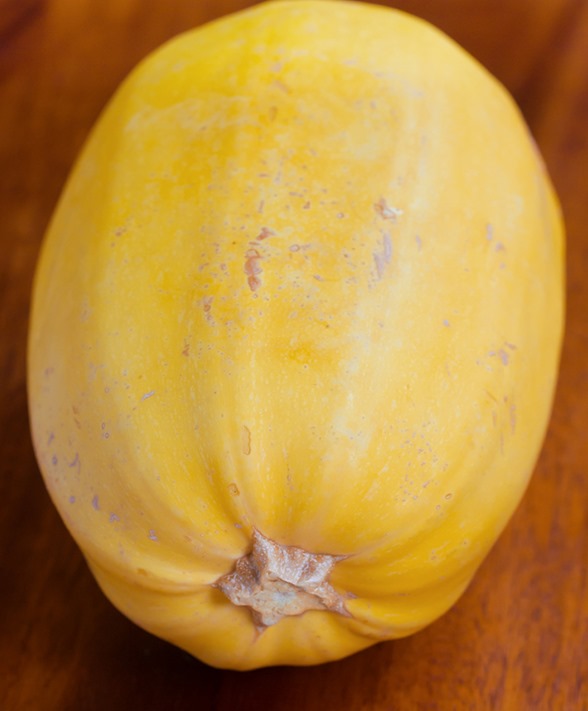 spaghetti squash health