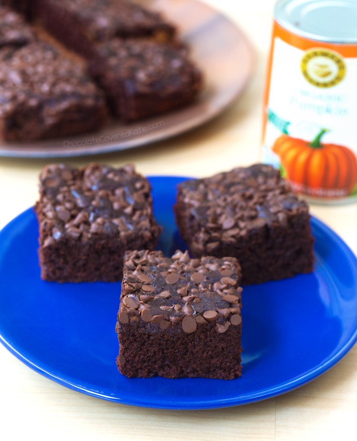 Pumpkin chocolate chip bars - pumpkin bars with chocolate chips