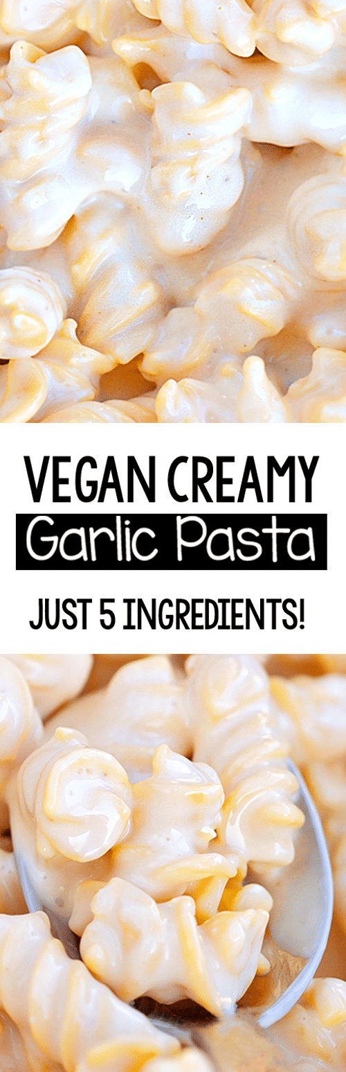 Easy Creamy Garlic Vegan Pasta Recipe