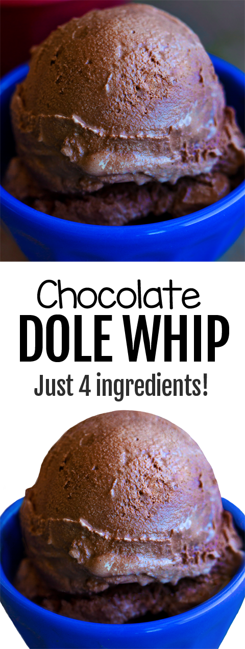 EASY 4 Ingredient Chocolate Dole Whip Recipe