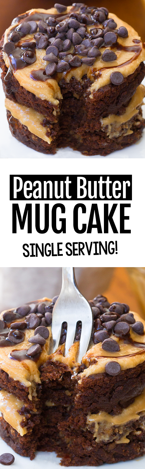 Single Serving Chocolate Peanut Butter Mug Cake