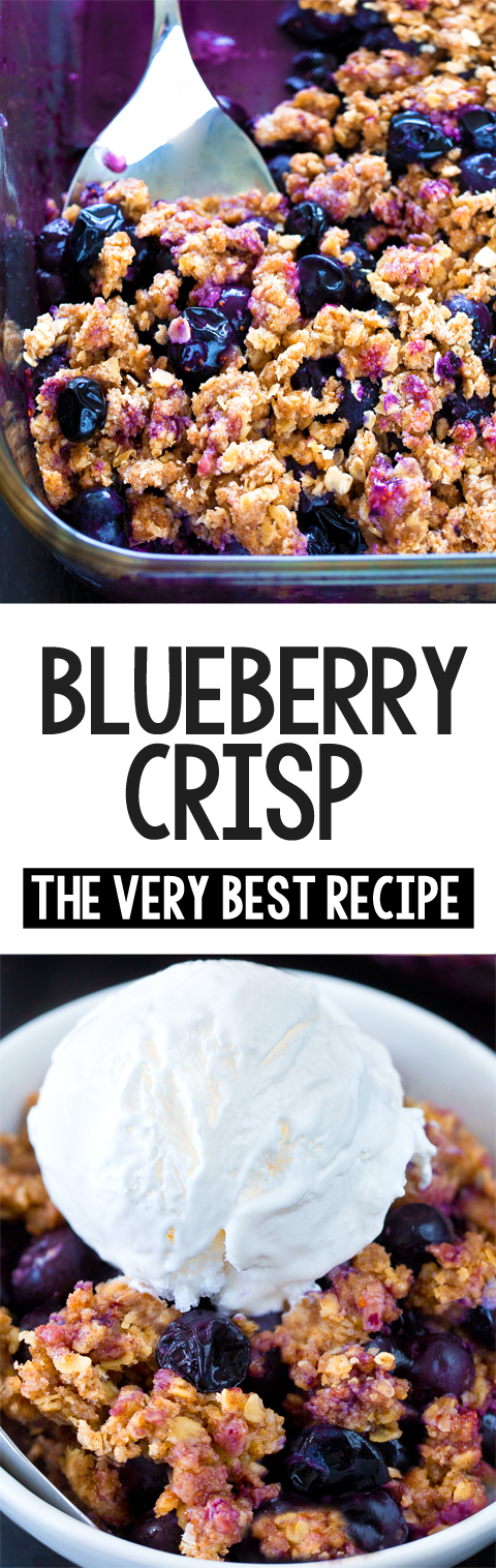 The BEST Classic Blueberry Crisp Recipe