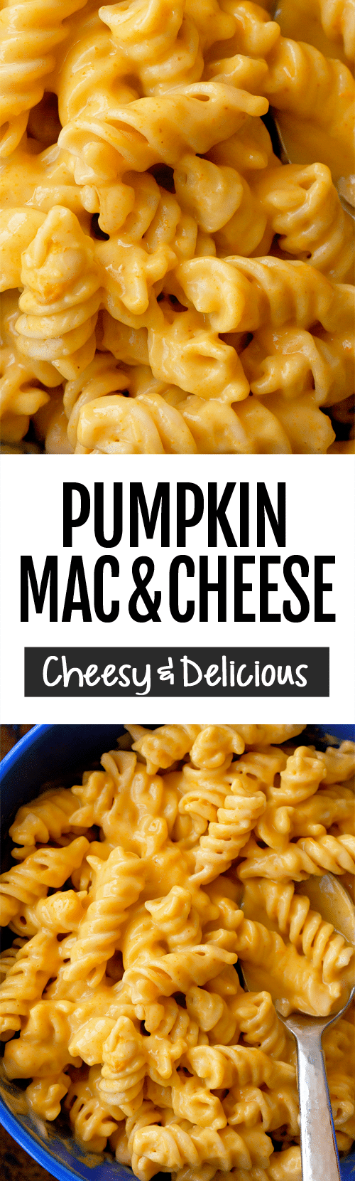 Easy Creamy Pumpkin Mac & Cheese Recipe