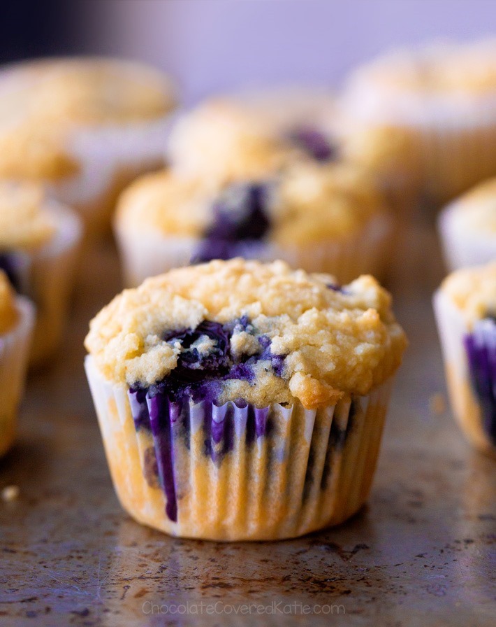 NO FLOUR Low Carb Blueberry Muffins