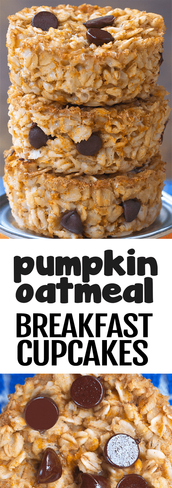 Pumpkin Breakfast Oatmeal Cupcakes Meal Prep