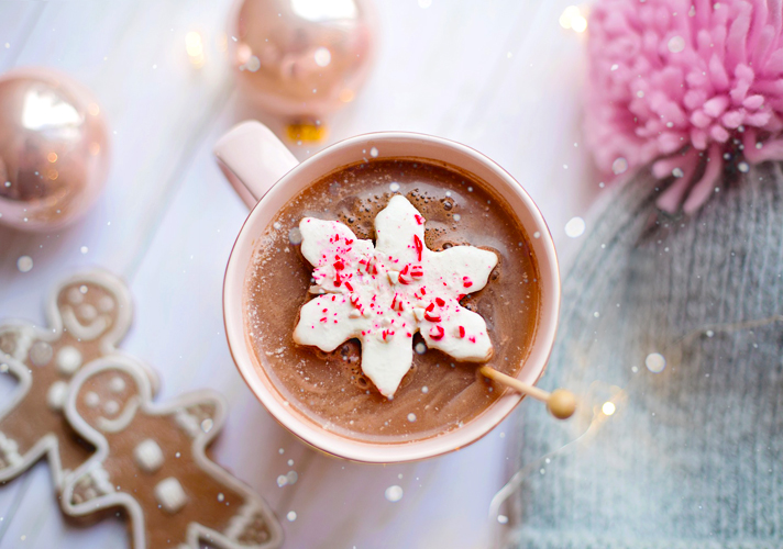 Vegan Gingerbread Hot Chocolate