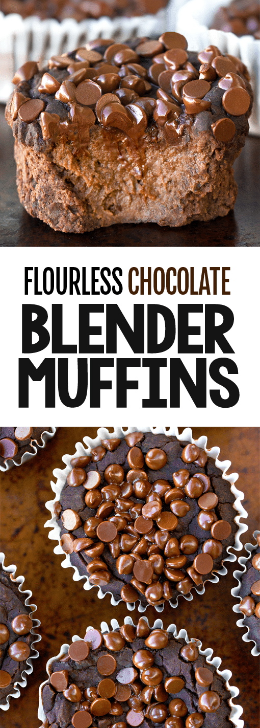 Secretly Healthy Flourless Chocolate Blender Muffin Recipe
