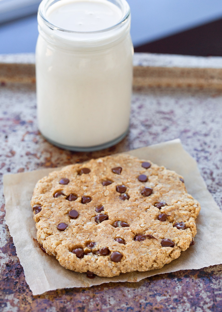 Chocolate Chip Oatmeal Cookie For One