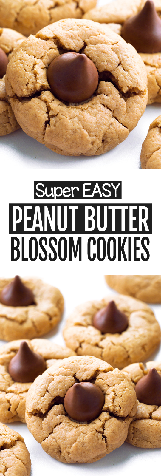 Peanut Butter Blossom Cookies - Chocolate Covered Katie