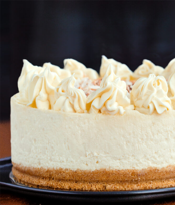 Vegan Cheesecake Recipe NO Cashews!