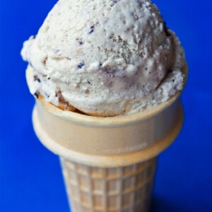 Vegan Oreo Ice Cream Recipe