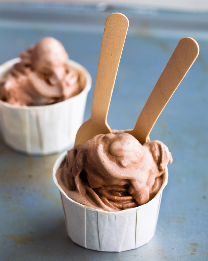 Plant Based Chocolate Ice Cream Recipe