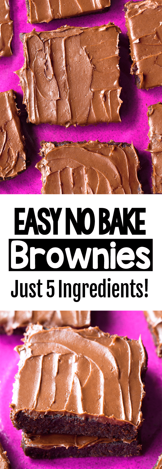 5 Ingredient Secretly Healthy No Bake Brownie Recipe