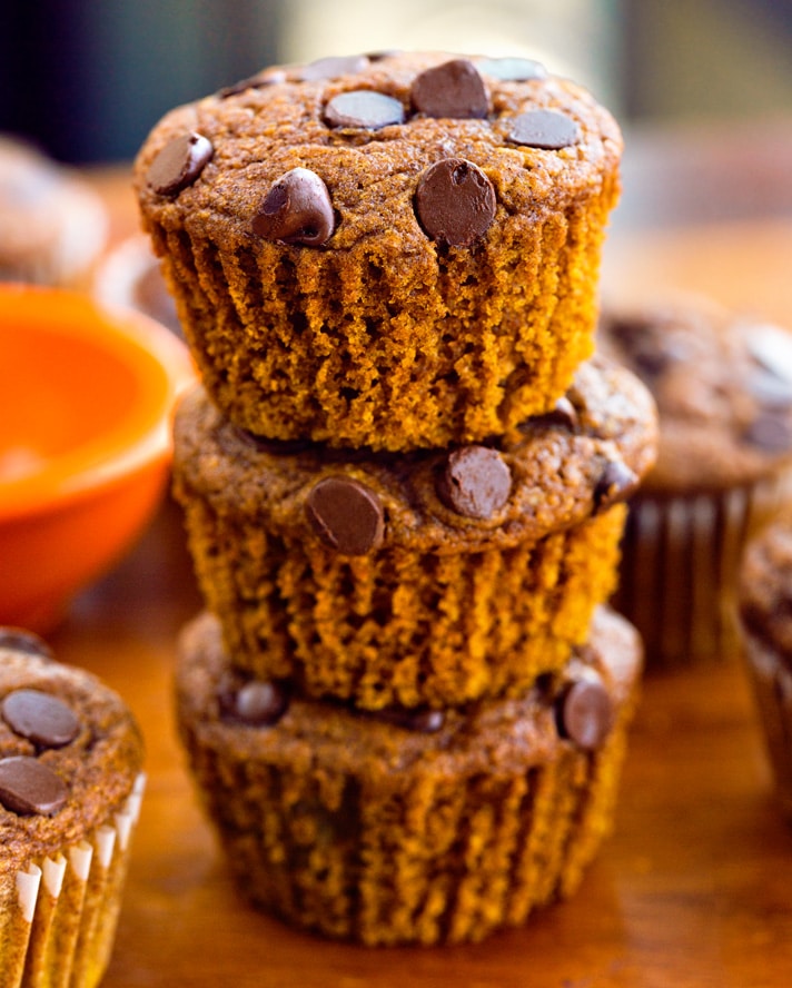 chocolate chip pumpkin muffin