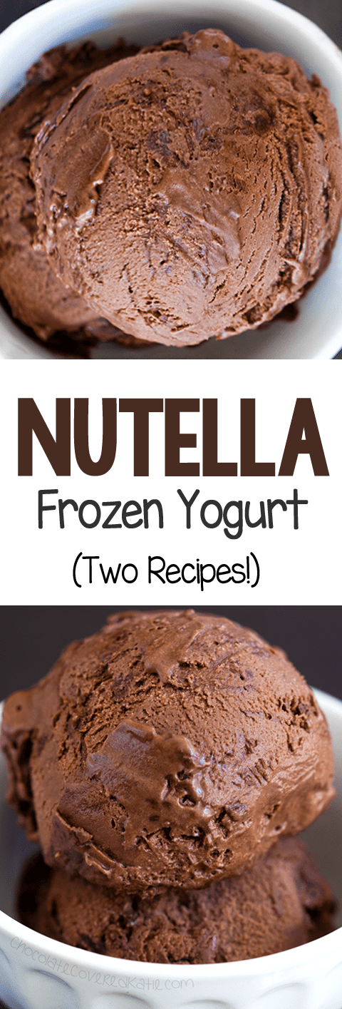 Creamy Nutella Frozen Yogurt Recipe