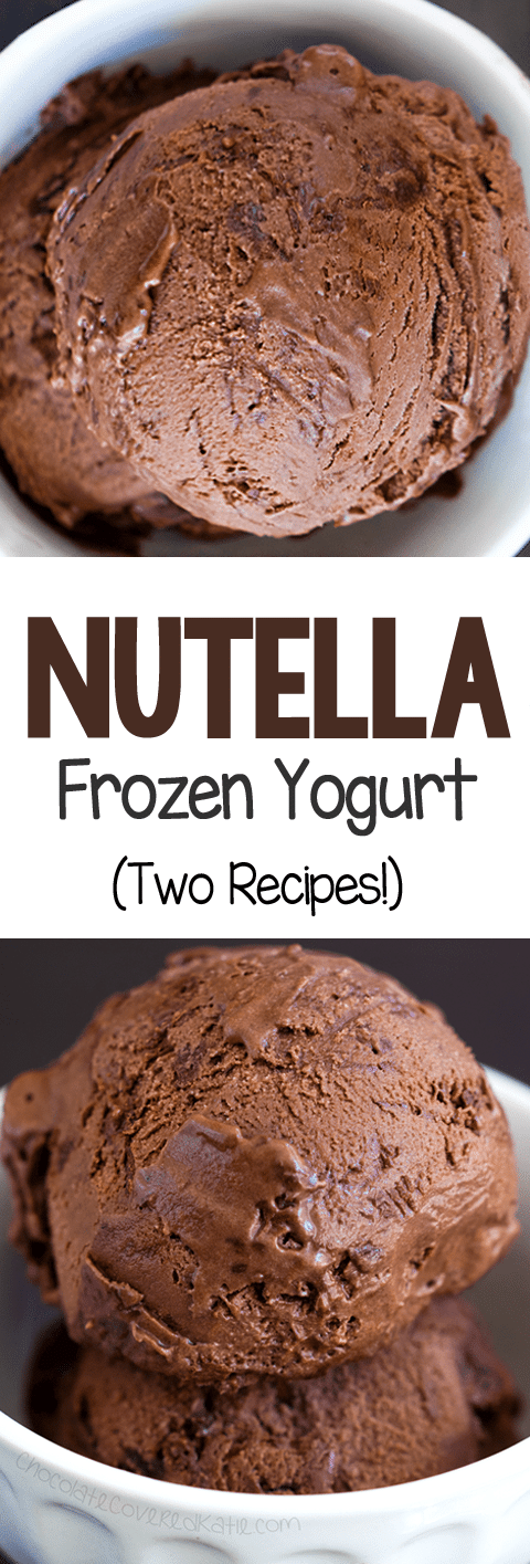 Nutella Frozen Yogurt - Two Recipes!